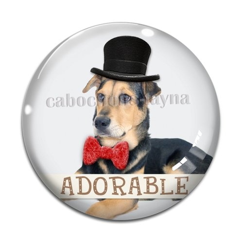 Cabochon chien, cabochon résine, verre rond différente taille