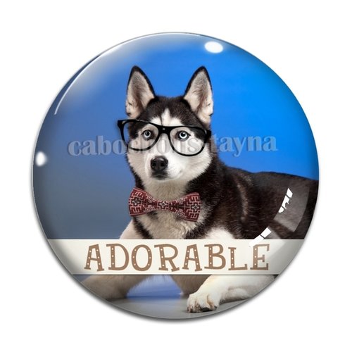 Cabochon chien, cabochon résine, verre rond différente taille