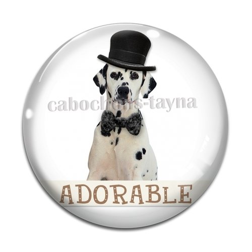 Cabochon chien, cabochon résine, verre rond différente taille