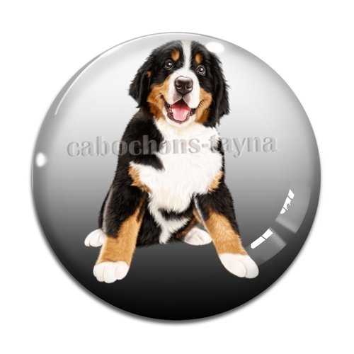 Cabochon chien, cabochon résine, verre rond différente taille
