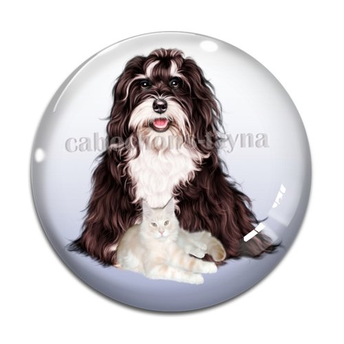 Cabochon chien, cabochon résine, verre rond différente taille
