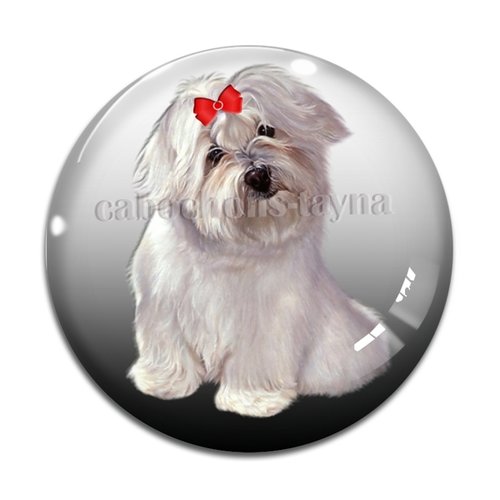 Cabochon chien, cabochon résine, verre rond différente taille