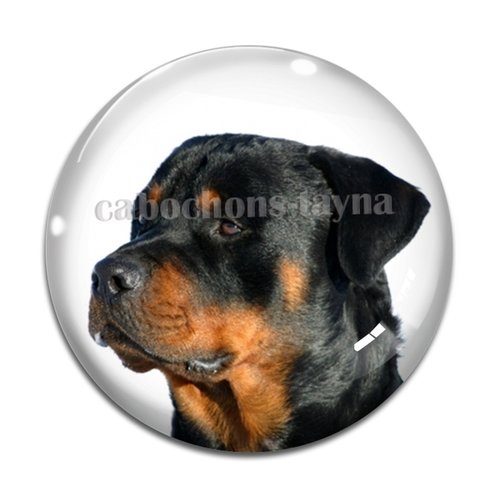 Cabochon chien, cabochon résine, verre rond différente taille