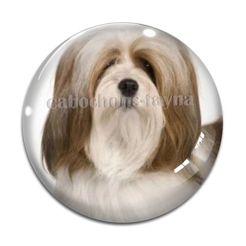 Cabochon chien, cabochon résine, verre rond différente taille