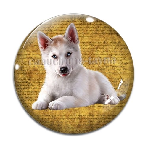 Cabochon chien, cabochon résine, verre rond différente taille
