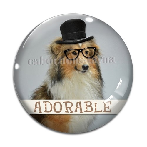 Cabochon chien, cabochon résine, verre rond différente taille