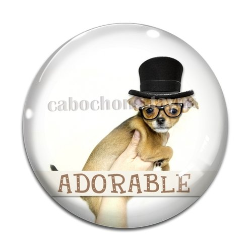 Cabochon chien, cabochon résine, verre rond différente taille