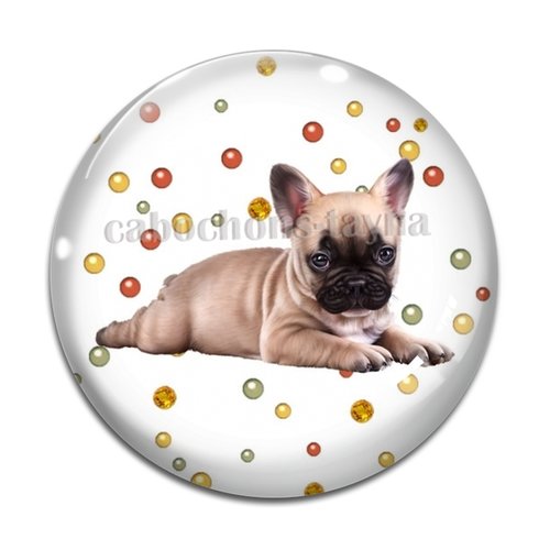 Cabochon chien, cabochon résine, verre rond différente taille