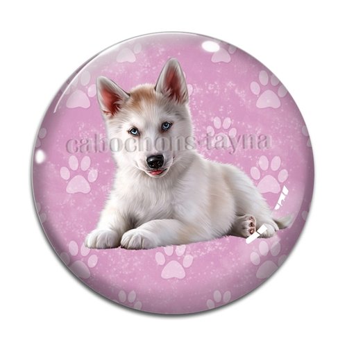 Cabochon chien, cabochon résine, verre rond différente taille