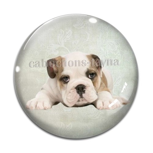 Cabochon chien, cabochon résine, verre rond différente taille
