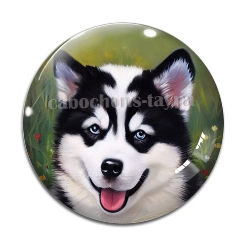 Cabochon chien, cabochon résine, verre rond différente taille