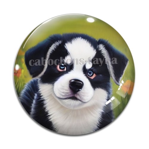 Cabochon chien, cabochon résine, verre rond différente taille