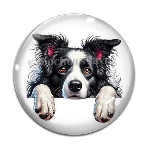 Cabochon chien, cabochon résine, verre rond différente taille