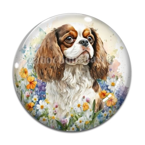 Cabochon chien, cabochon résine, verre rond différente taille