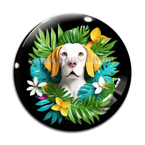 Cabochon chien, cabochon résine, verre rond différente taille