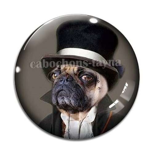 Cabochon chien, cabochon résine, verre rond différente taille