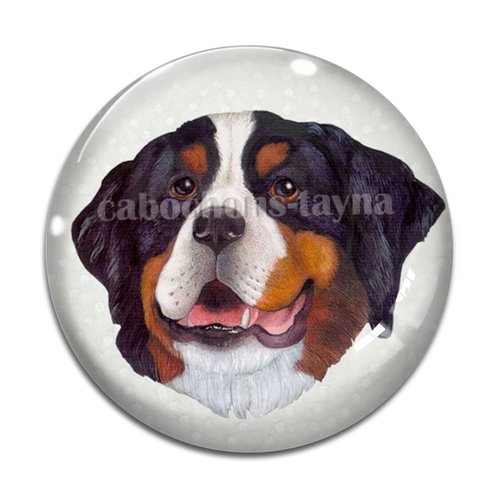 Cabochon chien, cabochon résine, verre rond différente taille