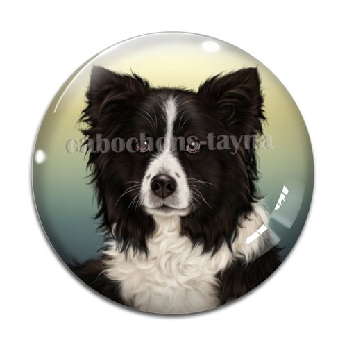 Cabochon chien, cabochon résine, verre rond différente taille