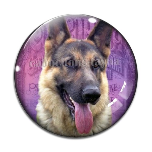 Cabochon chien, cabochon résine, verre rond différente taille