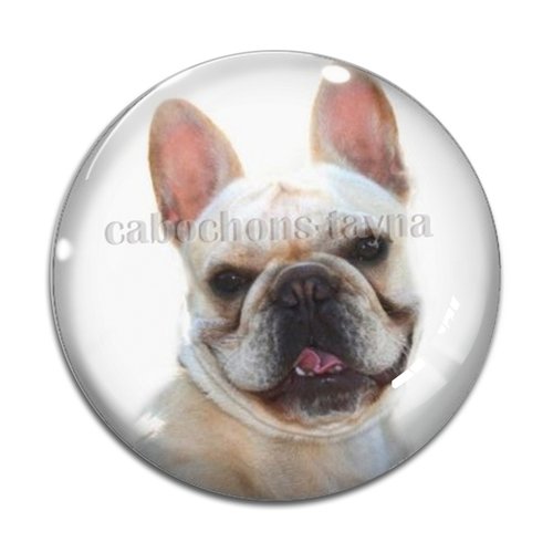 Cabochon chien, cabochon résine, verre rond différente taille