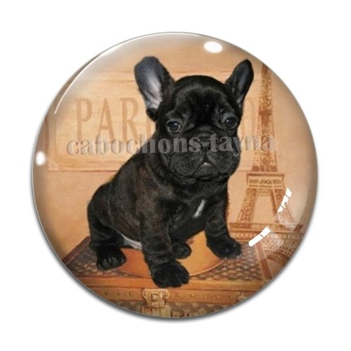 Cabochon chien, cabochon résine, verre rond différente taille