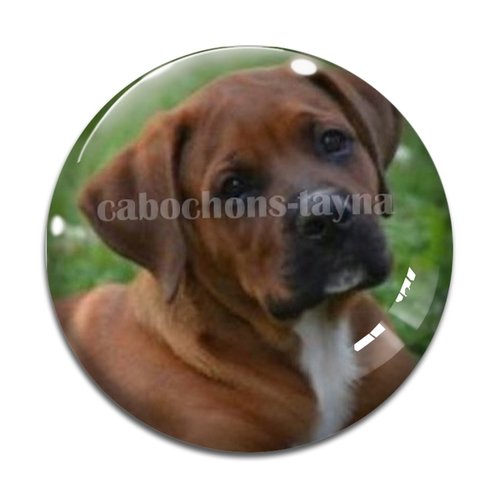 Cabochon chien, cabochon résine, verre rond différente taille