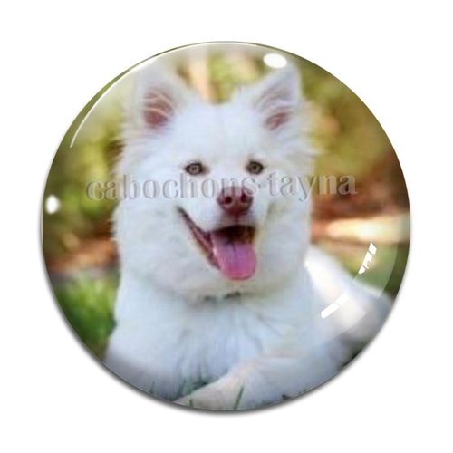 Cabochon chien, cabochon résine, verre rond différente taille