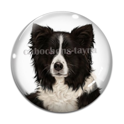 Cabochon chien, cabochon résine, verre rond différente taille