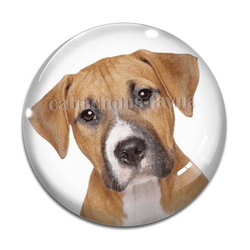 Cabochon chien, cabochon résine, verre rond différente taille