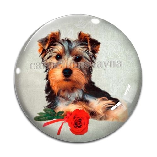 Cabochon chien, cabochon résine, verre rond différente taille