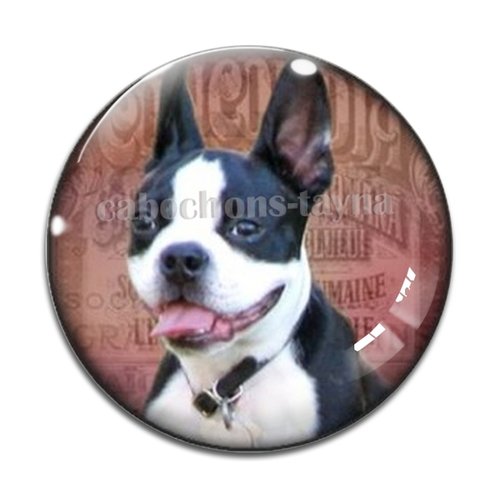 Cabochon chien, cabochon résine, verre rond différente taille