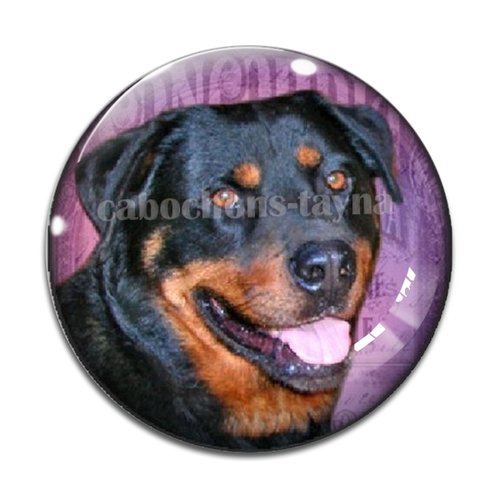 Cabochon chien, cabochon résine, verre rond différente taille