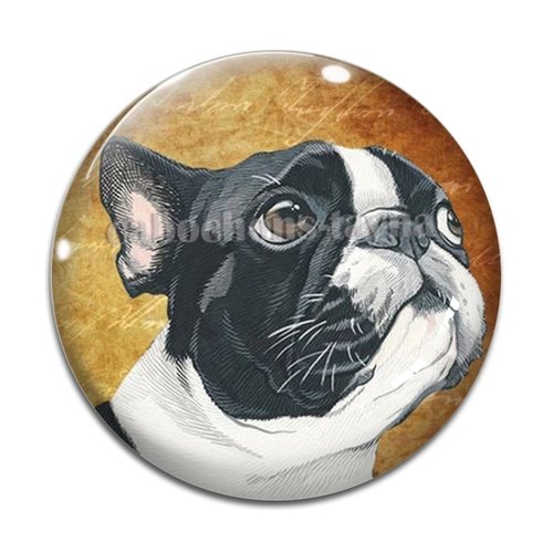 Cabochon chien, cabochon résine, verre rond différente taille