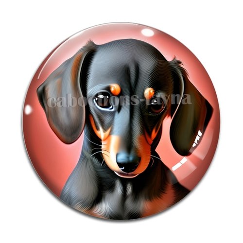 Cabochon chien, cabochon résine, verre rond différente taille