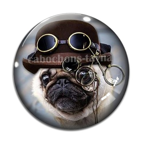 Cabochon chien, cabochon résine, verre rond différente taille