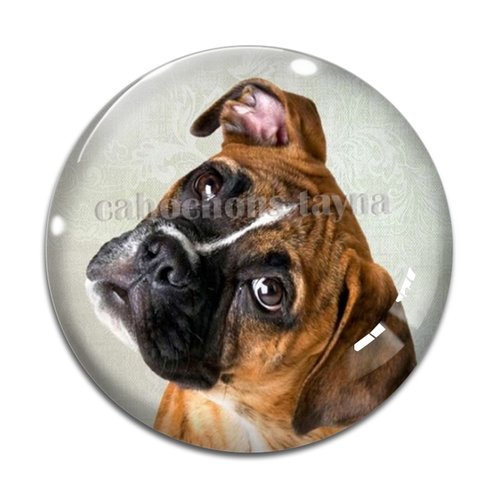 Cabochon chien, cabochon résine, verre rond différente taille