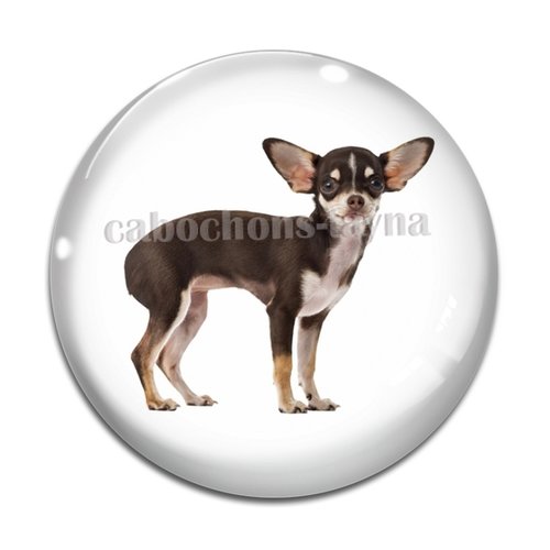 Cabochon chien, cabochon résine, verre rond différente taille