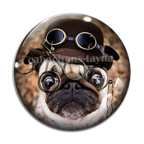 Cabochon chien, cabochon résine, verre rond différente taille