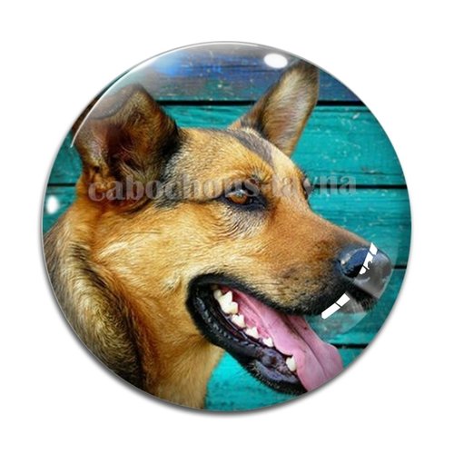 Cabochon chien, cabochon résine, verre rond différente taille