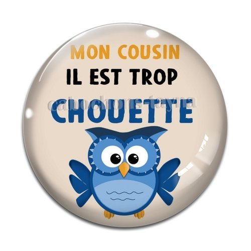Cabochon un chouette cousin, cabochon résine, verre rond différente taille