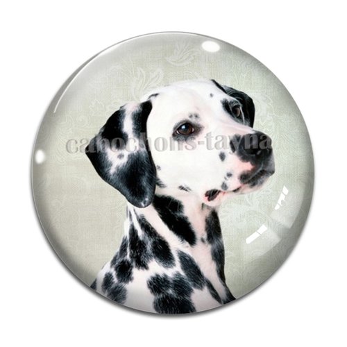 Cabochon chien, cabochon résine, verre rond différente taille