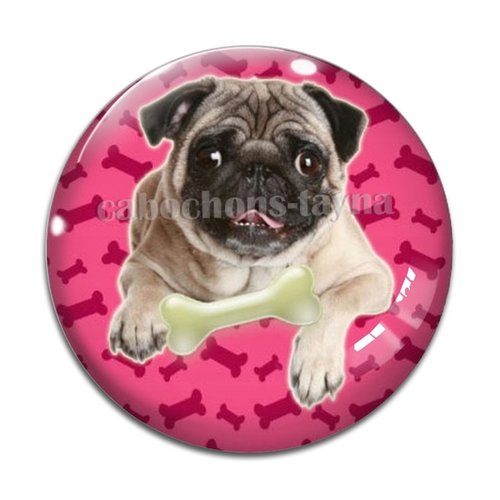 Cabochon chien, cabochon résine, verre rond différente taille