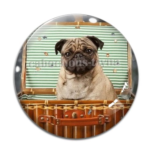 Cabochon chien, cabochon résine, verre rond différente taille