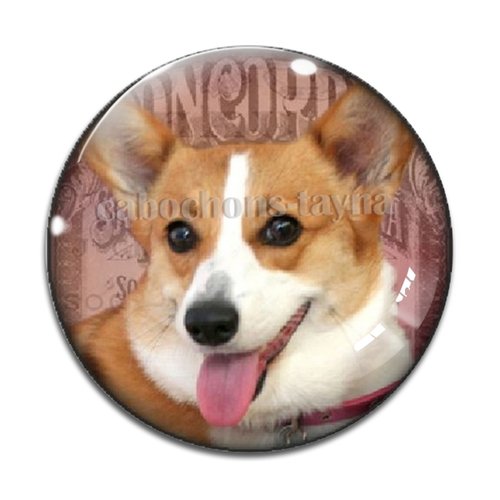 Cabochon chien, cabochon résine, verre rond différente taille