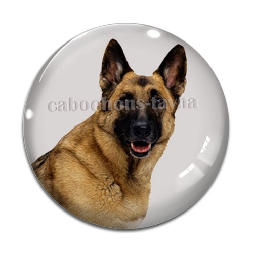 Cabochon chien, cabochon résine, verre rond différente taille