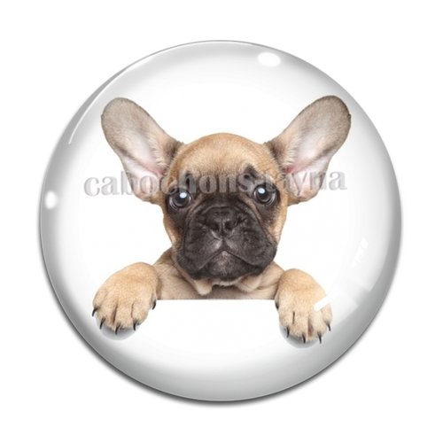 Cabochon chien, cabochon résine, verre rond différente taille