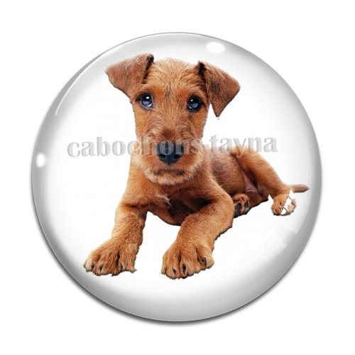 Cabochon chien, cabochon résine, verre rond différente taille