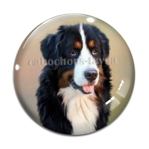 Cabochon chien, cabochon résine, verre rond différente taille