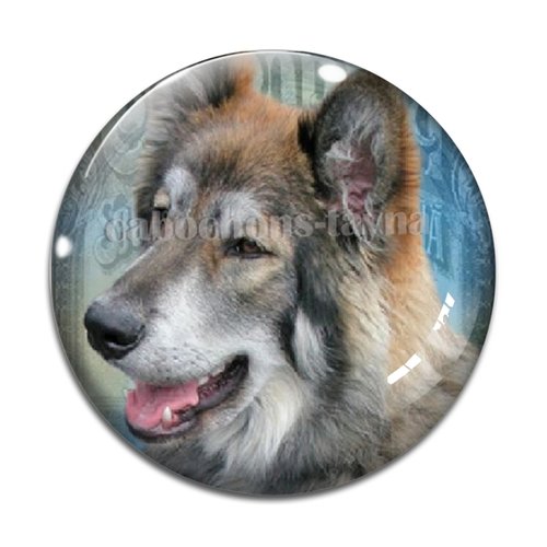 Cabochon chien, cabochon résine, verre rond différente taille