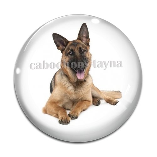 Cabochon chien, cabochon résine, verre rond différente taille